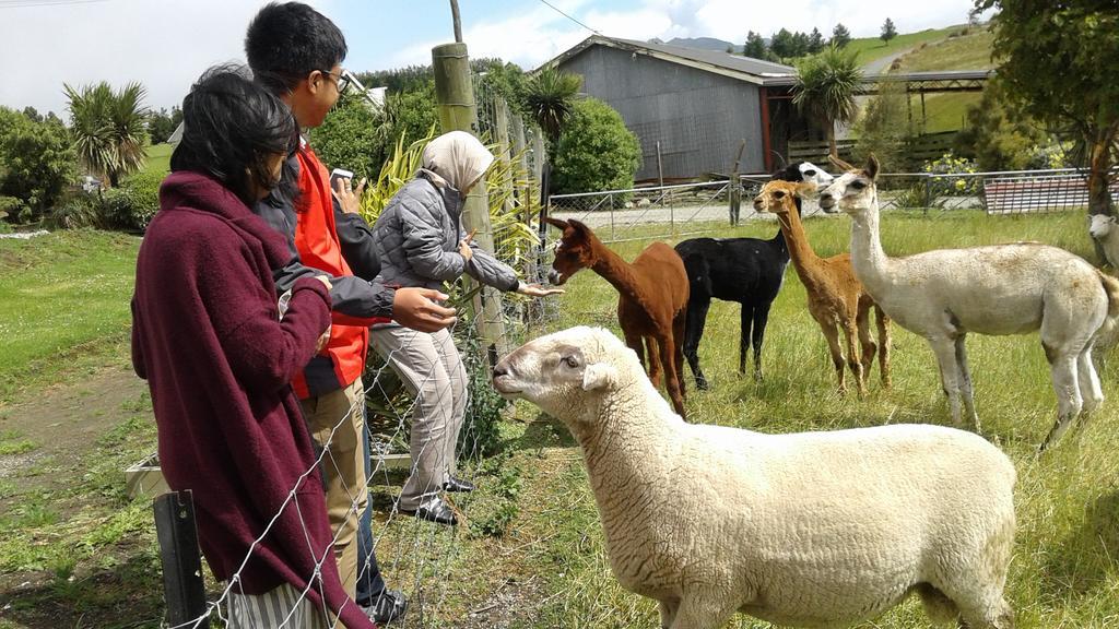 莱瑟维森住宿加早餐旅馆 戈尔 外观 照片