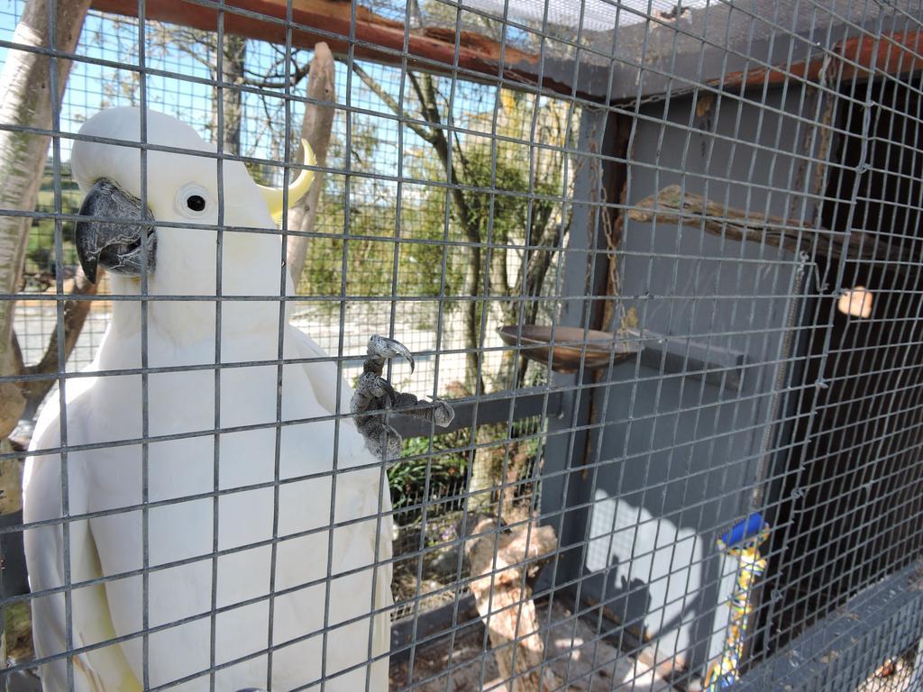 莱瑟维森住宿加早餐旅馆 戈尔 外观 照片